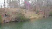 20160319_154155.jpg
