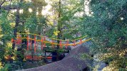 20161025_044045.jpg