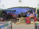 IMG_3300a.JPG