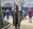 IMG_3404A.JPG