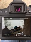IMG_4347.JPG