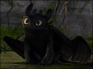 -Toothless-how-to-train-your-dragon-32987271-800-600.jpg