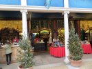 IMG_4378a.JPG