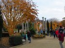 IMG_4415a.JPG