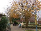 IMG_4380a.JPG