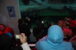 DSC_0011.JPG