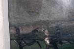 DSC_0017.JPG
