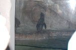 DSC_0019.JPG