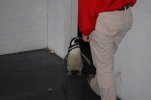 DSC_0030.JPG