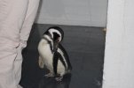 DSC_0034.JPG