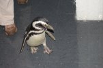 DSC_0036.JPG