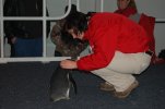 DSC_0050.JPG