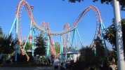 carolina-cobra-the-park.jpg
