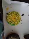 20180606_164619.jpg
