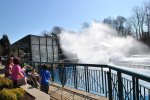 DSC_0179.JPG