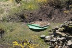 DSC_0097.JPG