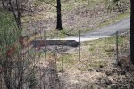 DSC_0111.JPG
