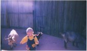 bg19_1998.jpg