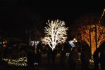 DSC_0073.JPG
