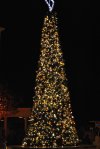 DSC_0074.jpg