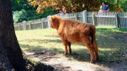 20180719_134718.jpg