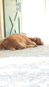 20180719_145935.jpg