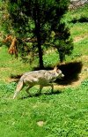 20180719_134307.jpg
