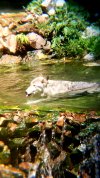 20180719_134121.jpg