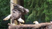 20180622_121531.jpg