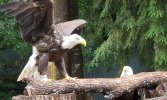 20180625_194948.jpg