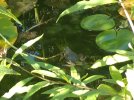 IMG_20180824_172519954.jpg
