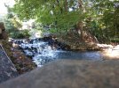 IMG_20180824_165607751.jpg