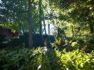 IMG_20180824_173727341_HDR.jpg