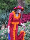 IMG_5015a.JPG