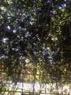 0D23D1E1-0C3C-4CDC-AAEA-3764632902F5.jpeg
