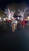 20181123_190911.jpg