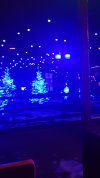20181210_173640.jpg
