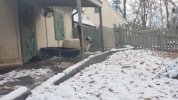 20181210_161704.jpg