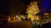 20181210_182323.jpg