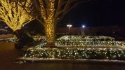 20181210_182258.jpg