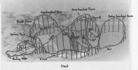 gwazi stall.jpeg