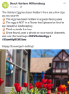 Screenshot_20190412-102158~2.png