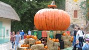 IMG_0912.JPG