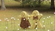 IMG_0922.jpeg