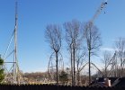20200101_153231.jpg