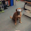 tenor.gif