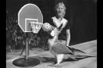 Joe Carvalho bird Show at Busch Gardens. Michael goes for two points in 1984. (Dennis Tennant ...jpg