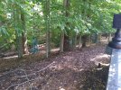IMG_20200913_142213044.jpg