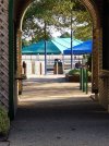 20201031_101806.jpg