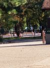 20201031_101941.jpg